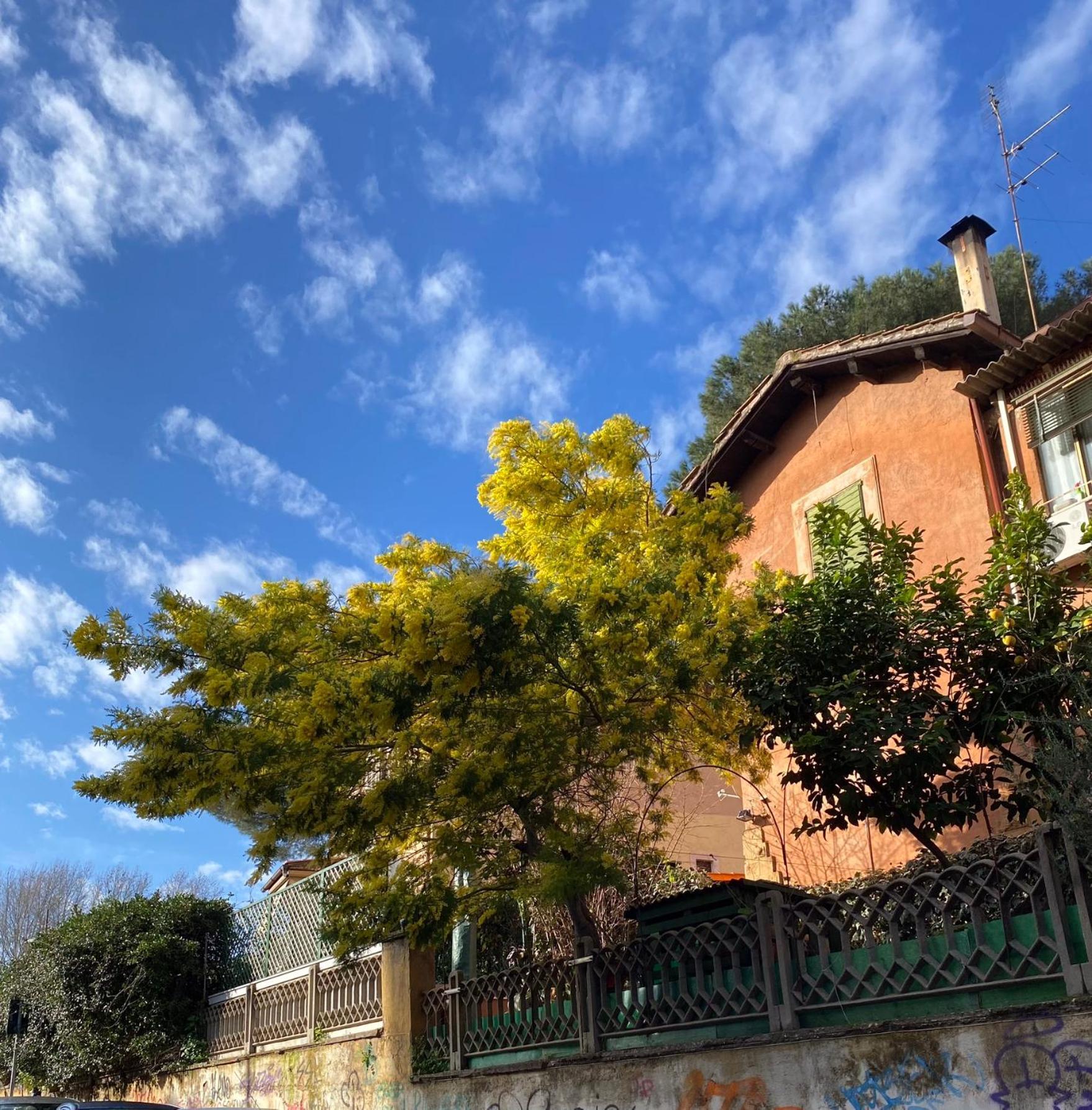 Apartamento La Casa Del Giglio *